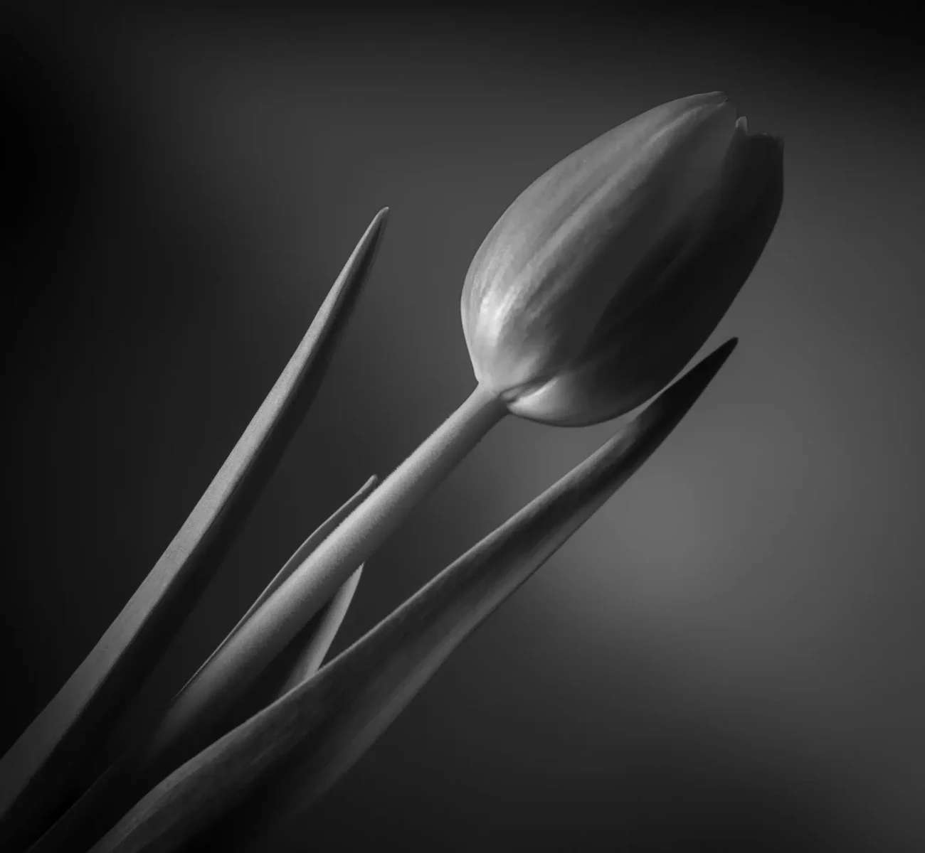 _DS_8926-Modifier-2